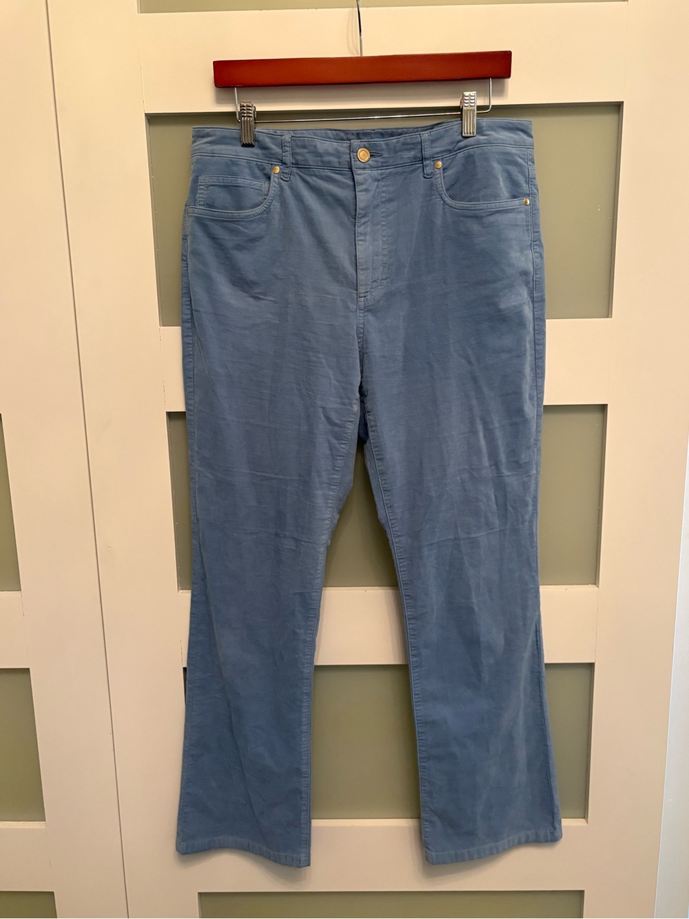 J. McLaughlin Lenin Velvet Jeans in Ash Blue Size 12